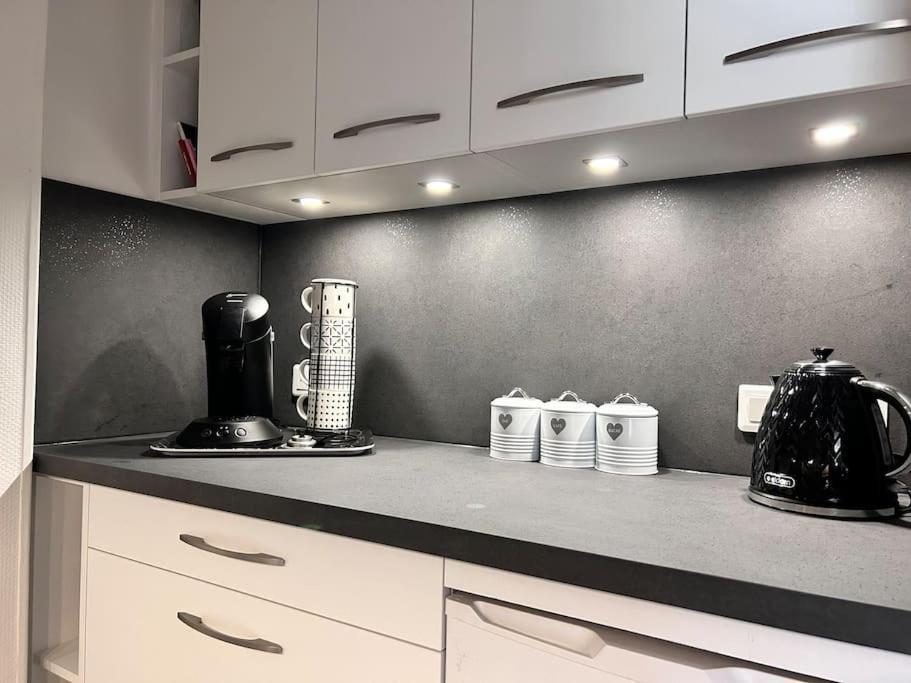 Appartamento Grand T2 Cozy Avec Balcon Proche De Royatonic - 12 Rouzaud Esterno foto